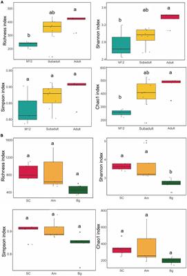 Developmental stage variation in the gut microbiome of South China tigers